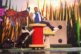 Lukas & Falco - Amazing Dog Tricks - America's Got Talent 2019